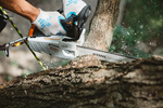 Pilarka spalinowa STIHL MS 194 T 3/8