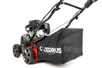 Wertykulator spalinowy CEDRUS WR01-B  Briggs&Stratton 2w1 + olej + dostawa gratis!