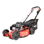 Kosiarka Cedrus Premium z napędem CEDLP53S-L + olej