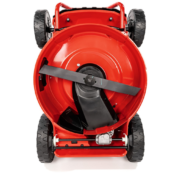 Kosiarka spalinowa CEDRUS CEDKS56S + olej + kanister + dostawa gratis!