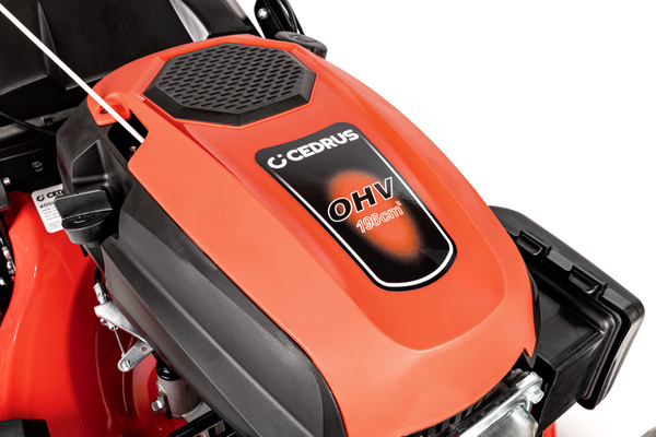 Kosiarka spalinowa z koszem Cedrus CEDKS51S-ZT + olej + dostawa gratis!