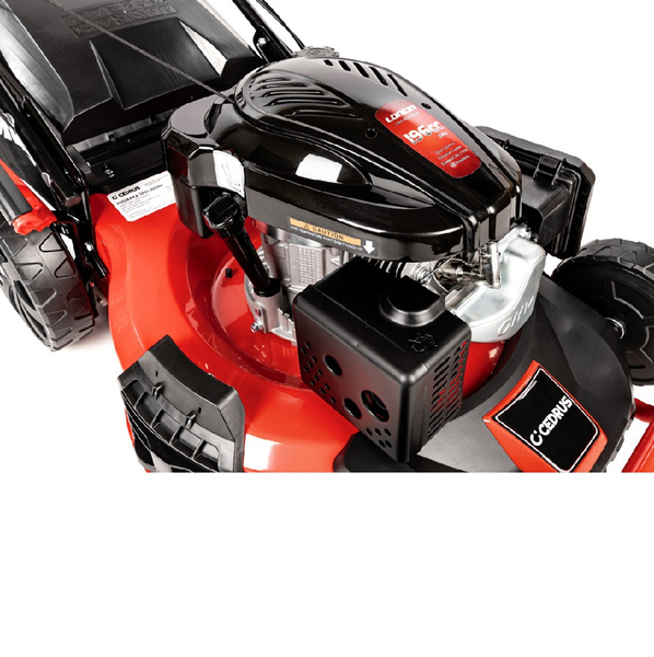 Kosiarka spalinowa CEDRUS CEDKS53S-L + olej + dostawa gratis!