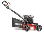 Wertykulator spalinowy CEDRUS WR01-B  Briggs&Stratton 2w1 + olej + dostawa gratis!