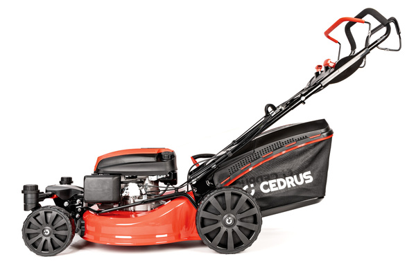 Kosiarka spalinowa z koszem Cedrus CEDKS51S-ZT + olej + dostawa gratis!