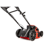 Kosiarka spalinowa CEDRUS CEDKS53S + olej + dostawa gratis!