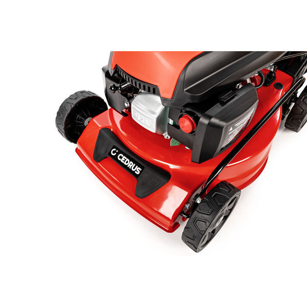 Kosiarka spalinowa z koszem CEDRUS CEDKS42 + olej + dostawa gratis!