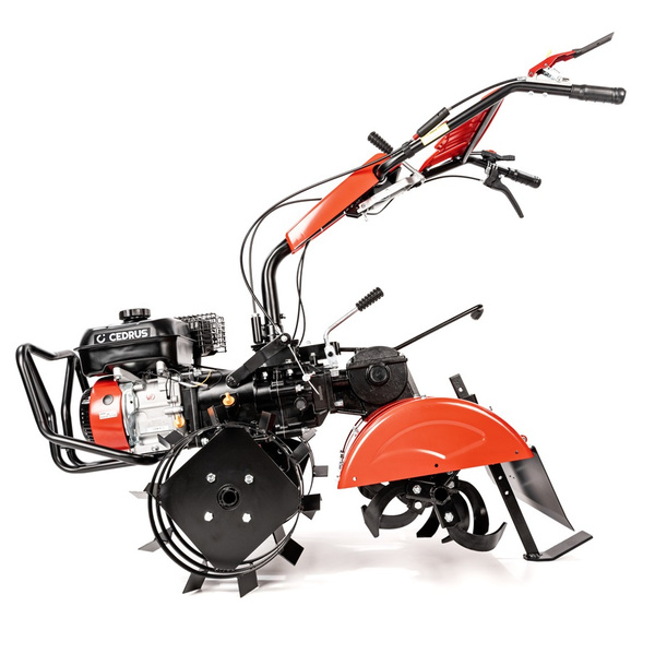 Glebogryzarka spalinowa CEDRUS GLX640 + olej silnikowy + olej przekładniowy + dostawa gratis!