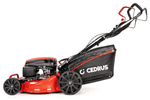 Kosiarka spalinowa z koszem CEDRUS CEDKS48S + olej + dostawa gratis!
