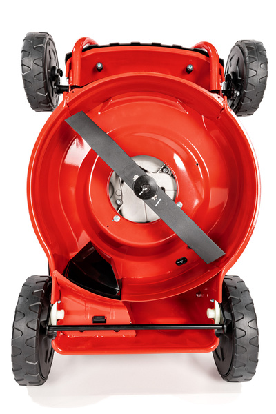 Kosiarka spalinowa z koszem CEDRUS CEDKS48 + olej + dostawa gratis!