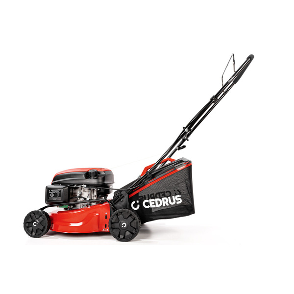Kosiarka spalinowa z koszem CEDRUS CEDKS42 + olej + dostawa gratis!