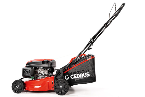 Kosiarka spalinowa z koszem CEDRUS CEDKS42 + olej + dostawa gratis!