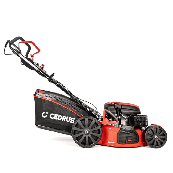 Kosiarka spalinowa CEDRUS CEDKS53S + olej + dostawa gratis!