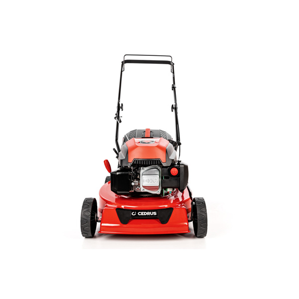 Kosiarka spalinowa z koszem CEDRUS CEDKS42 + olej + dostawa gratis!