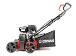 Wertykulator spalinowy CEDRUS WR01-B  Briggs&Stratton 2w1 + olej + dostawa gratis!