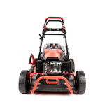 Kosiarka spalinowa CEDRUS CEDKS56S + olej + kanister + dostawa gratis!