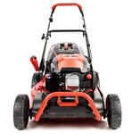 Kosiarka spalinowa z koszem CEDRUS CEDKS48 + olej + dostawa gratis!