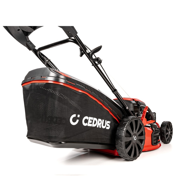 Kosiarka spalinowa CEDRUS CEDKS53S + olej + dostawa gratis!