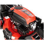 Kosiarka spalinowa CEDRUS CEDKS56S + olej + kanister + dostawa gratis!