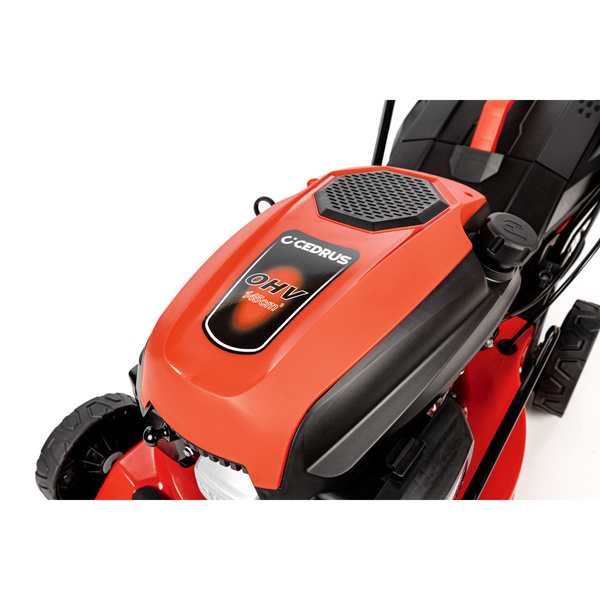 Kosiarka spalinowa z koszem CEDRUS CEDKS42S + olej + dostawa gratis!