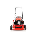 Kosiarka spalinowa z koszem CEDRUS CEDKS42 + olej + dostawa gratis!