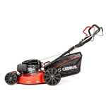 Kosiarka spalinowa CEDRUS CEDKS53S-L + olej + dostawa gratis!