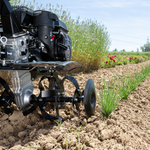 Glebogryzarka spalinowa AL-KO MH 770 Comfort