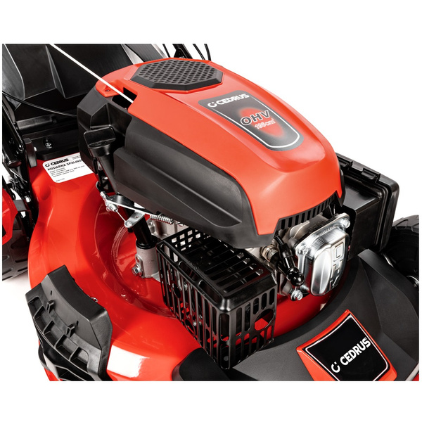 Kosiarka spalinowa CEDRUS CEDKS56S + olej + kanister + dostawa gratis!