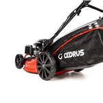 Kosiarka spalinowa CEDRUS CEDKS53S-L + olej + dostawa gratis!