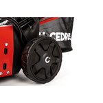 Kosiarka spalinowa z koszem CEDRUS CEDKS42 + olej + dostawa gratis!