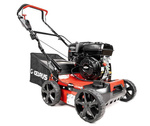 Wertykulator spalinowy CEDRUS WR01-B  Briggs&Stratton 2w1 + olej + dostawa gratis!