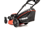 Kosiarka spalinowa z koszem Cedrus CEDKS51S-ZT + olej + dostawa gratis!
